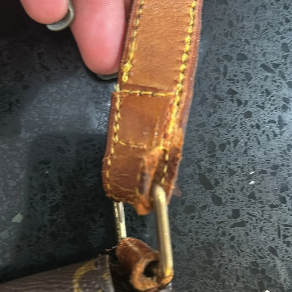 Louis Vuitton RunWay Bag - Picture 10 of 16